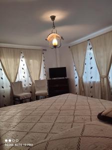 a bedroom with a large bed and a television at CASA RUSTIK in Bîltişoara