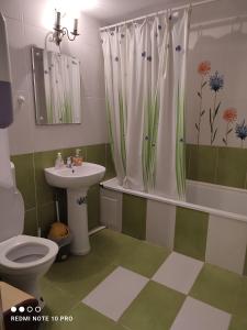 a bathroom with a sink and a toilet and a shower at CASA RUSTIK in Bîltişoara +50 photos