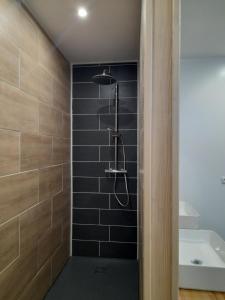 a bathroom with a shower with black tiles at Le domaine de l'Ebenne in Englefontaine +19 photos