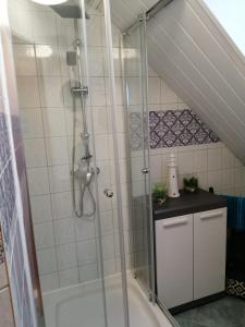 a bathroom with a shower and a bath tub at Ferienwohnung altes Steinlager in Oderberg