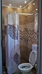 y baño con cortina de ducha y aseo. en Hacienda Neretva en Buna