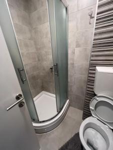 een badkamer met een douche en een toilet bij Delete 4 in Novi Grad