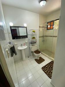 a bathroom with a shower and a toilet and a sink at Casa Corona Plaza in Santiago de los Caballeros