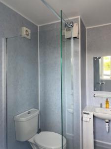 a bathroom with a shower and a toilet and a sink at Foinaven House in Ullapool