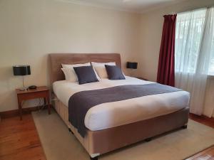 a bedroom with a large bed with blue pillows at Sancerre Estate in Ballandean