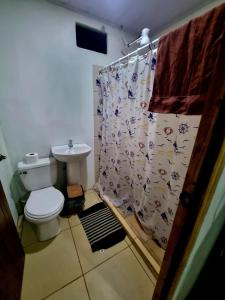 La salle de bains est pourvue de toilettes et d'un rideau de douche. dans l'établissement Ballena Oasis Homes( Dep Estudio con AC), à Uvita