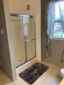 ein Badezimmer mit einer Dusche, einem WC und einem Teppich in der Unterkunft 2-Bedroom Quincy Apt. with private parking & Wifi in Quincy