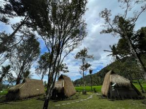 a group of huts in a field with trees at Da'kayu Glamping in Munduk