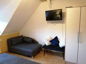 TV a/nebo společenská místnost v ubytování Ferienwohnung altes Steinlager