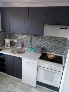 a small kitchen with a sink and a stove at Urlaub auf dem Ferienhof in Berumbur +4 photos