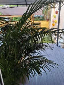 Balkón alebo terasa v ubytovaní Lyon superbe jacuzzi vue sur jardin
