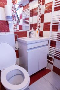 La salle de bains est pourvue de toilettes blanches et d'un lavabo. dans l'établissement Pensiunea Novac, à Durau