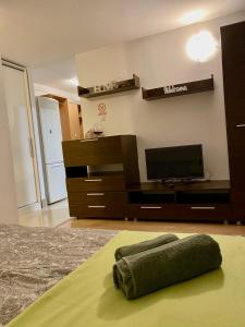 ein Wohnzimmer mit einem TV und einem Sofa in der Unterkunft Apartament Raluca - self check-in in Timişoara