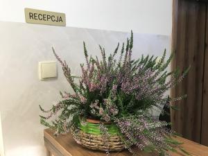 uma planta em vasos sentada em cima de uma mesa em Hotel BIESZCZADski Wańkowa em Wańkowa