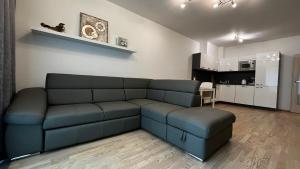 Kuchyň nebo kuchyňský kout v ubytování Residence Garden Tower - 8 min do centra, garaz