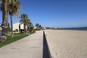 - une promenade le long d'une plage bordée de palmiers et de l'océan dans l'établissement Cosy studio au bord de la plage, à Gruissan