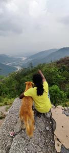 Kuvagallerian kuva majoituspaikasta BlaBla House Rishikesh, joka sijaitsee kohteessa Rishīkesh