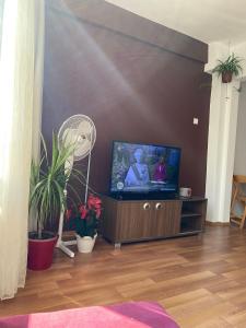 a living room with a flat screen tv and plants at Comfortable house in Üsküdar İstanbul Turkey in Istanbul