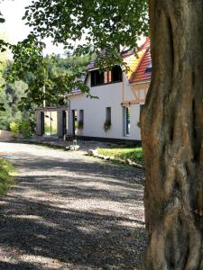 a tree in front of a white house at Dolina Zdrowia u Skrzypków in Wleń