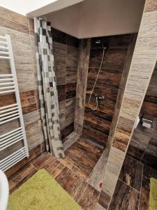 a bathroom with a shower with a wooden wall at Apartmán na Náměstí 55 in Drnholec