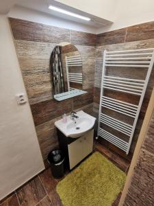 łazienka z umywalką i lustrem w obiekcie Apartmán na Náměstí 55 w mieście Dürnholz