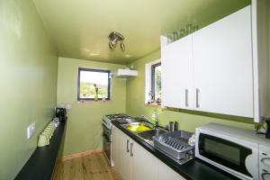 a kitchen with green walls and a sink and a microwave at Tarset Tor - Saturn 2 in Hexham
