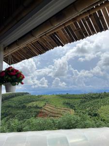 Blick auf einen Weinberg von einem Haus mit Fenster in der Unterkunft Bamboo Villa in Gia Nghĩa