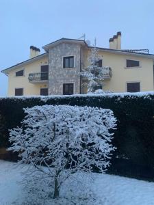 un albero ricoperto di neve di fronte a un edificio di Dreamy home ad Ateleta
