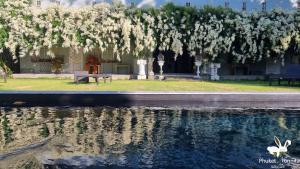 uma piscina de água com uma árvore com flores brancas em Phuket Nonnita Boutique Resort - SHA Plus em Cidade Phuket