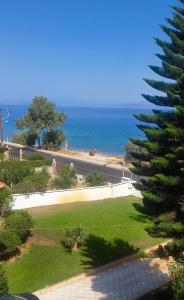 a view of the ocean and a palm tree at Evi in Xylokastro