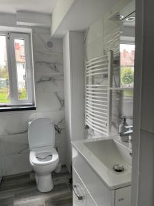 a white bathroom with a toilet and a sink at Garsoniera Brasov zarnesti in Zărneşti