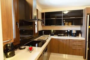A kitchen or kitchenette at Alcedo Villa