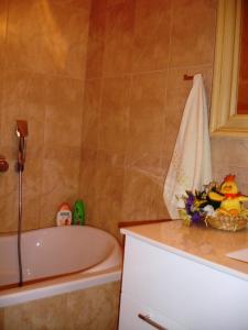 Koupelna v ubytování Zeleni Čardaci etno apartmani