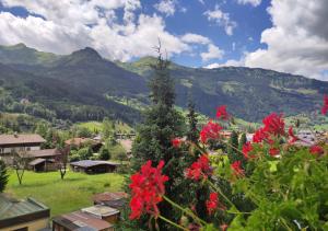 a view of a valley with red flowers and mountains at Ferienhaus Birgit - inklusive Eintritt Alpentherme Bad Hofgastein in Bad Hofgastein