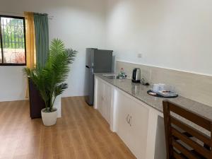 莫阿爾博阿的住宿－Palm Tree Lodge，厨房配有台面和冰箱