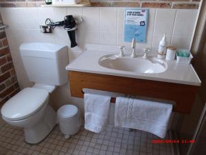 a bathroom with a toilet and a sink at Emerald Tropical Palms B & B in Emerald Beach