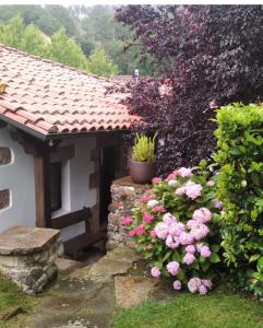 Vonkajšia záhrada v ubytovaní HdeC Hosteria de Castañeda Alojamiento Turistico