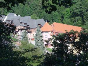 a large house in the middle of a forest at Hotel Habichtstein in Alexisbad