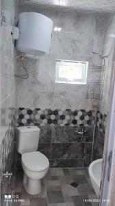 uma casa de banho com um WC, um lavatório e uma janela em luka 55 em Khulo