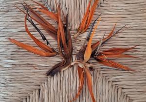 Fotografie z fotogalerie ubytování Casa de las Flores - Hotel Boutique Lanzarote v destinaci Teguise