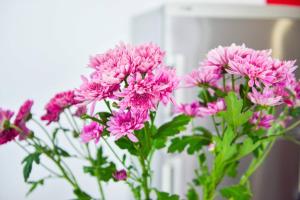 Fotografie z fotogalerie ubytování Apartamento Lena v destinaci Las Palmas de Gran Canaria