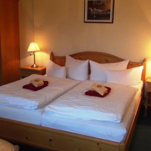 Gallery image of HOTEL ROYAL CHURU in Chūru