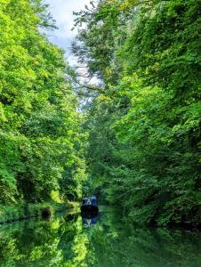 AldburyにあるMini Escape - 2 Berth Narrowboat on the Grand Union, Hertfordshireの木の川の中の船