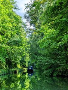 a boat in the middle of a river with trees at Mini Escape - 2 Berth Narrowboat on the Grand Union, Hertfordshire 