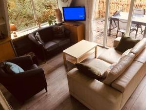 a living room with two couches and a television at Durbuy chalet 65 in Durbuy