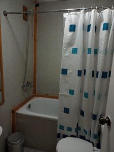 y baño con bañera, aseo y cortina de ducha. en Hostal Valentino Villarrica, en Villarrica