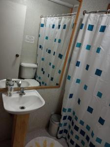 a bathroom with a sink and a shower curtain at Hostal Valentino Villarrica in Villarrica