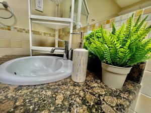 uma casa de banho com um lavatório e duas plantas num balcão em York Backpackers - Jumeirah Beach em Dubai