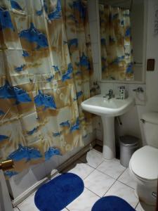 y baño con lavabo, aseo y cortina de ducha. en Hostal Valentino Villarrica, en Villarrica