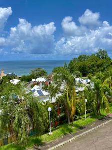 vista su una città con palme e sull'oceano di Régal de la Baie a La Trinité